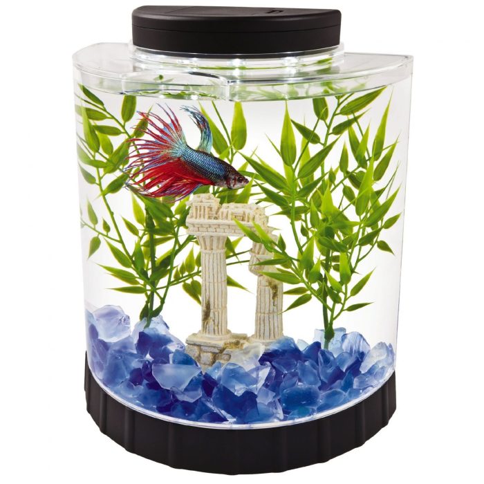 Betta gallon tanks planted