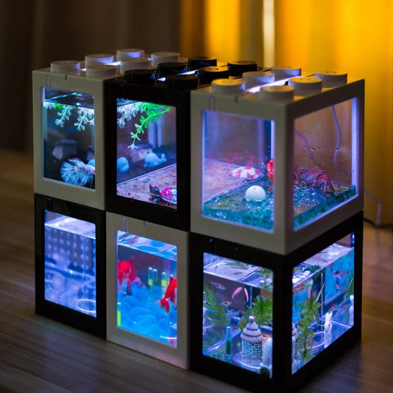 Betta nano acuario peces pecera peceras pez decoredo acuarios pequeños decoración kost