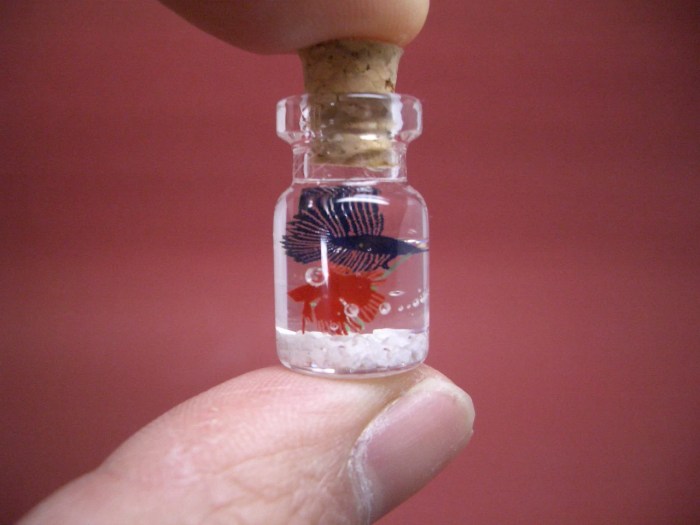 Betta fish bottles