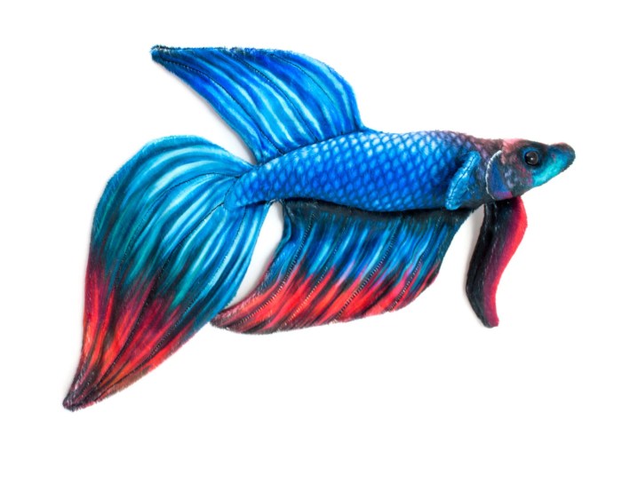 Betta